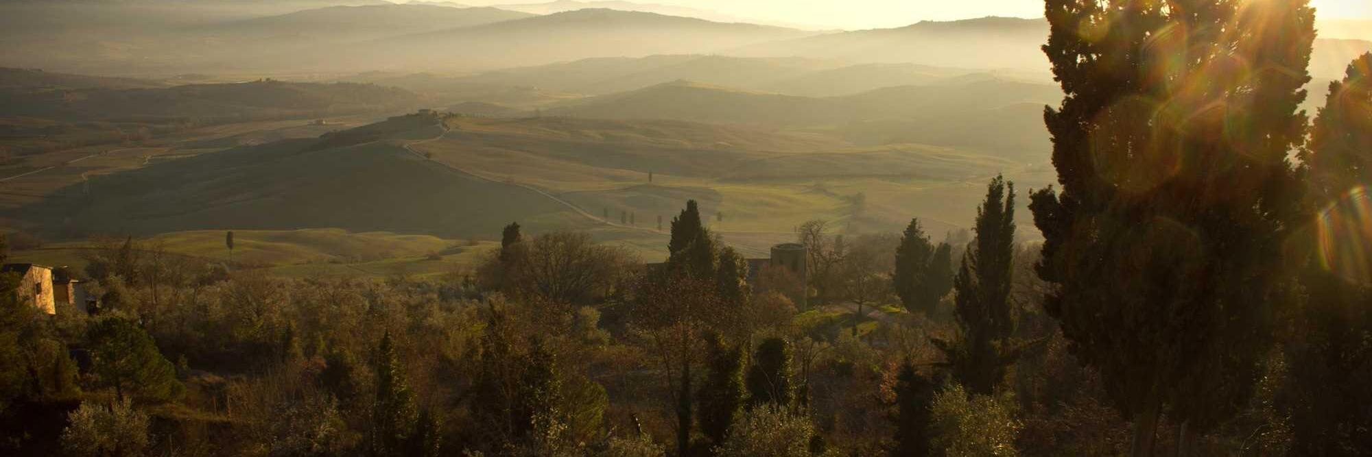 Hügelige Landschaft im Sonnenuntergang mit Bäumen und Dunst im Hintergrund.