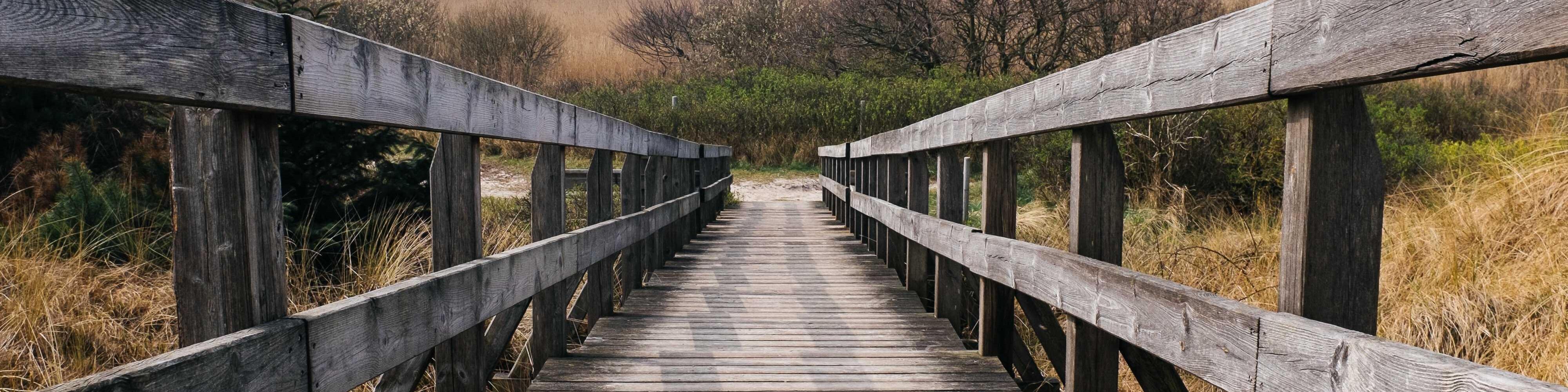 Holzsteg durch Dünenlandschaft mit Gras und Sanddünen im Hintergrund.
